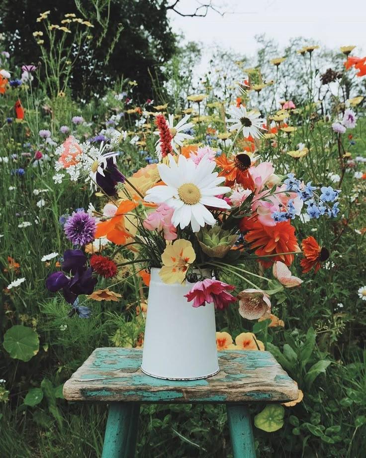 Windswept Wonders: Rustic Wildflower Mix